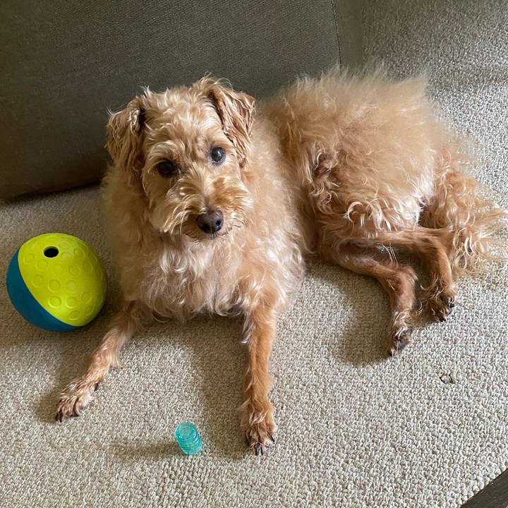 D718c4b2 0ed8 4586 bae7 542f7f178872 1658699963887