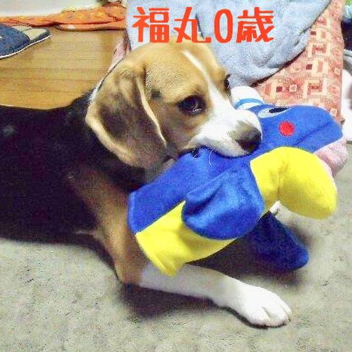 D718d684 548d 4788 ba5c eb67994fe43b 1509519490708