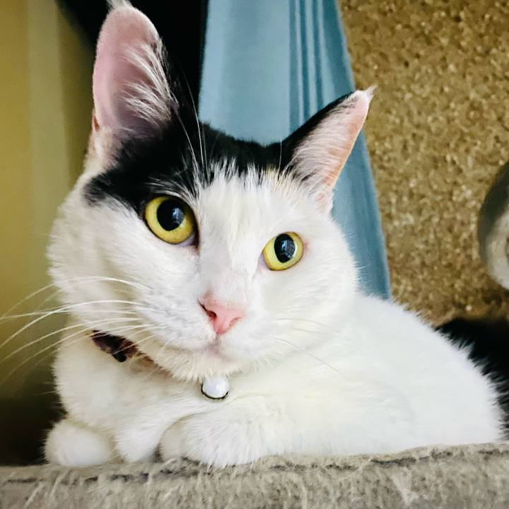 D718e018 4ae6 4396 8f6c ae35cdf7ea1c 1687964191402