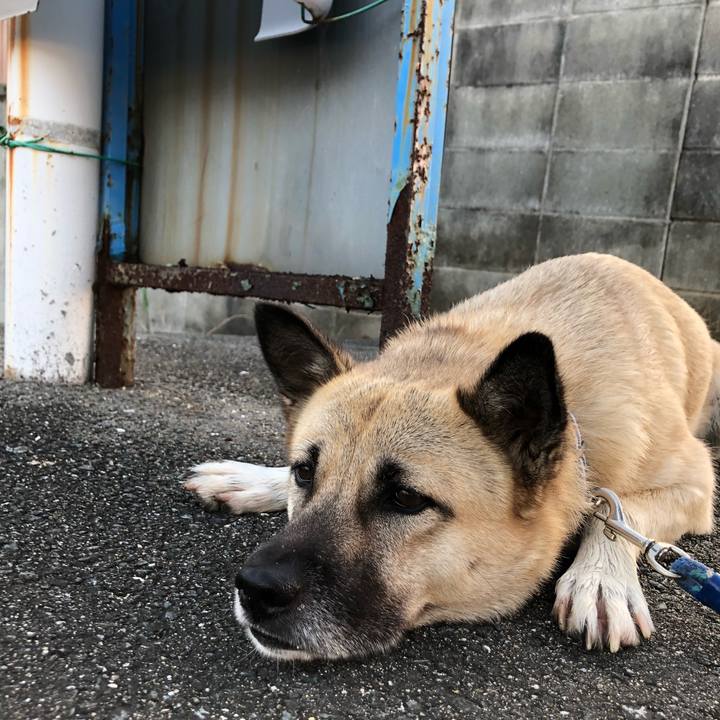 D718e0d3 bd69 4e7f 9c5e 53c93622bc63 1572611021954