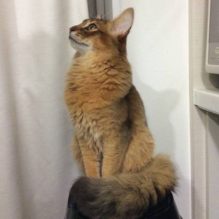 D7194ec3 eb50 4d04 b4a4 d4c4ece86444 1582976328414