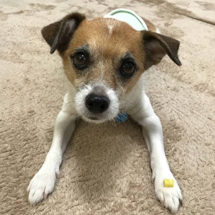 D719626c d33e 43af 9f45 c1f59cad8a8b 1537428186223