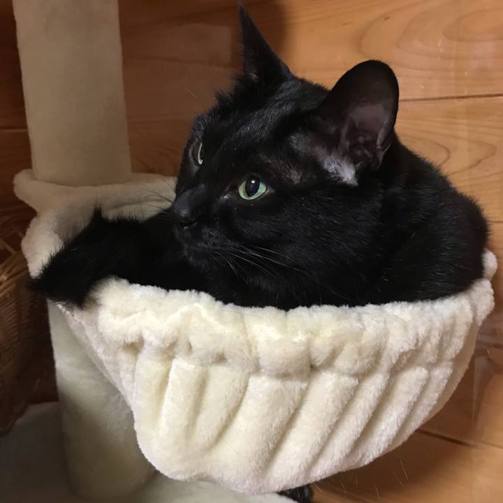 D719a777 8121 4abe a1ab b0e98df7612a 1555979878683