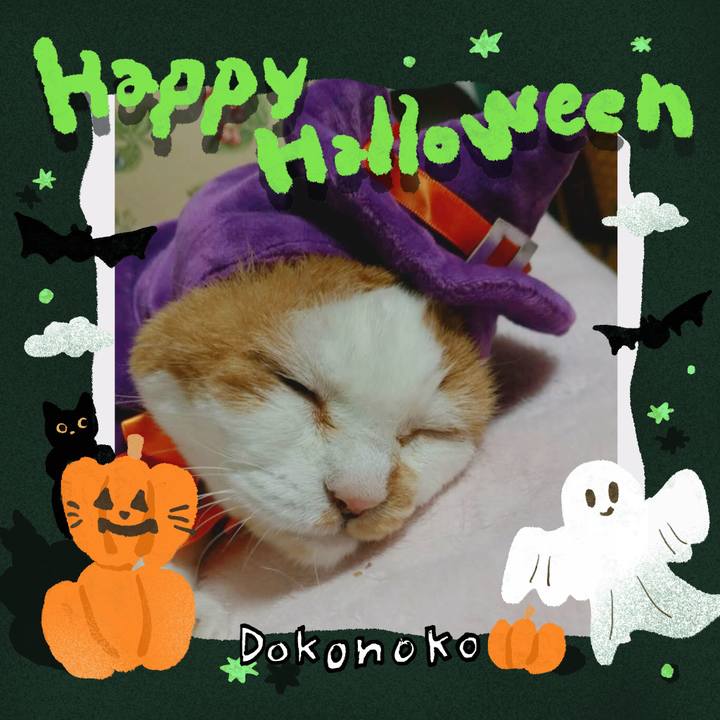 D719d14e e1d9 43c6 afe7 f63b3aef531c 1729746791664