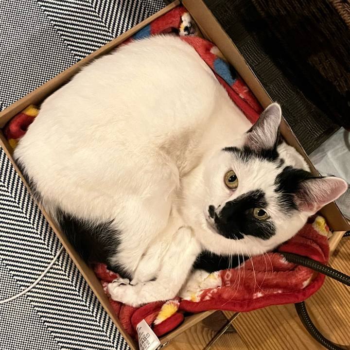 D719e5aa 24f2 49ed 9fd1 bfa3469d4247 1761228660551