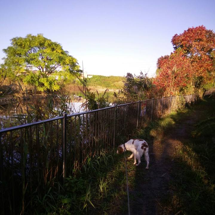 D719f9ef c8a1 4662 8428 53d778725202 1510273620705