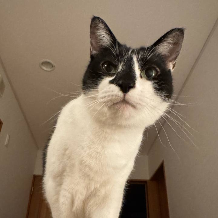 D71a1f0d eb4c 44f9 ac3c cfec6189d897 1767788107872