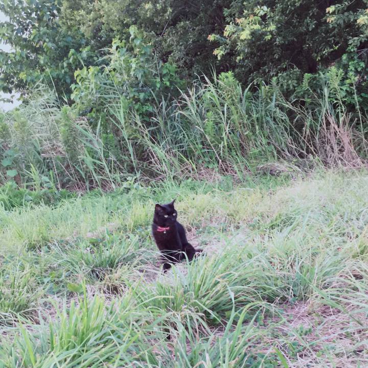 D71a23e9 08cc 4df7 92e7 45b04824247f 1532909331657