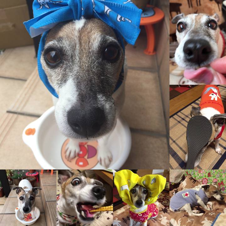 D71a29a8 49be 4577 9094 f3c79e87c5c9 1546231575165