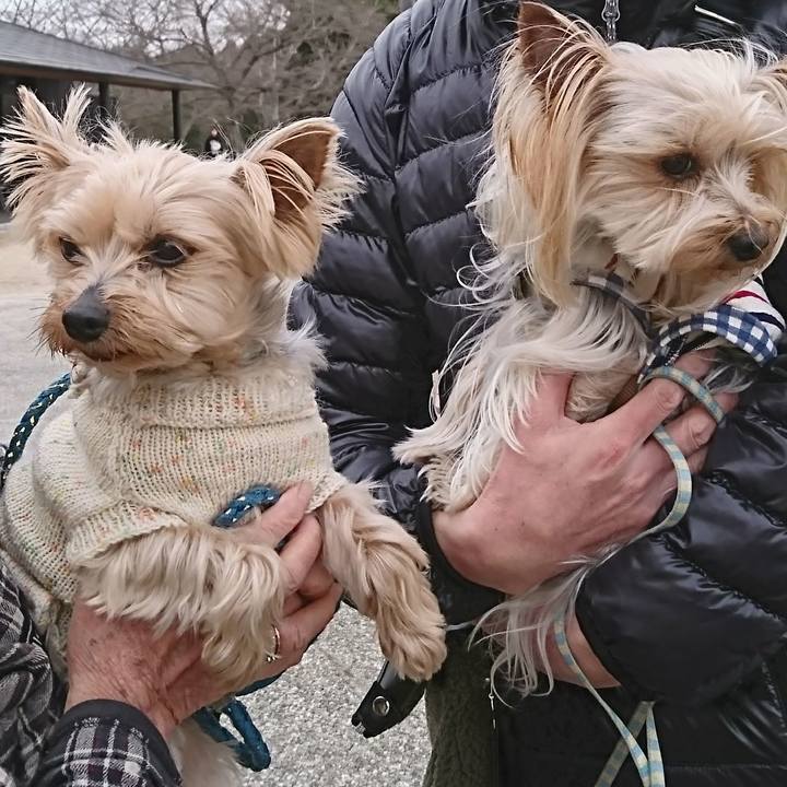 D71a59d3 cd32 44a9 bca1 ed89c65de19d 1553510613604