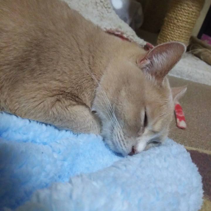 D71a5c01 48c7 41e0 b401 ab8ad41fde25 1518256510818