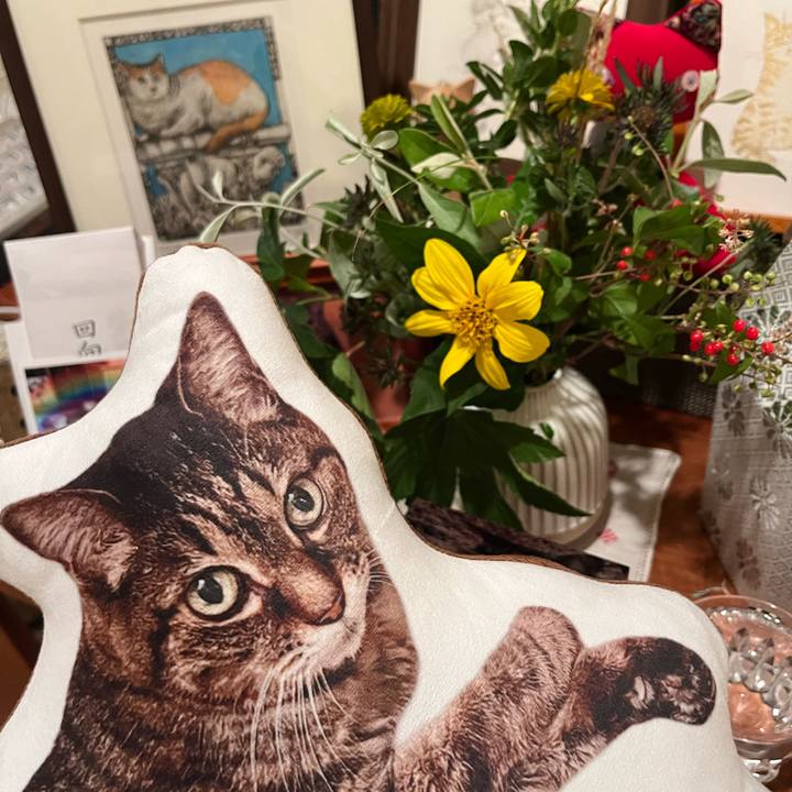 D71a8560 bde0 442d 9e25 e6c9a6ac0146 1759839092337