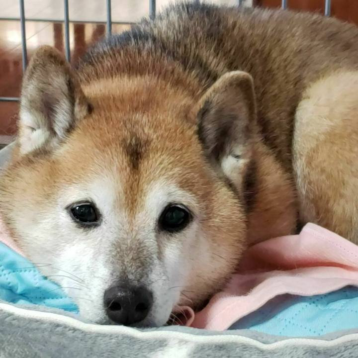 D71ab102 3b34 4e5c 9fe3 f2c9e59be686 1634600207475