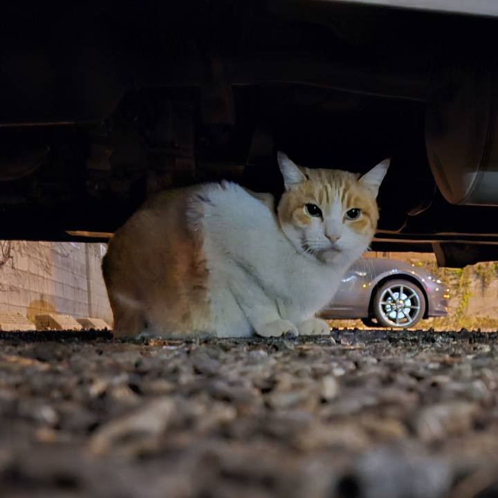 D71aeb11 5bfc 4a7c a153 091f0104c686 1701828091180