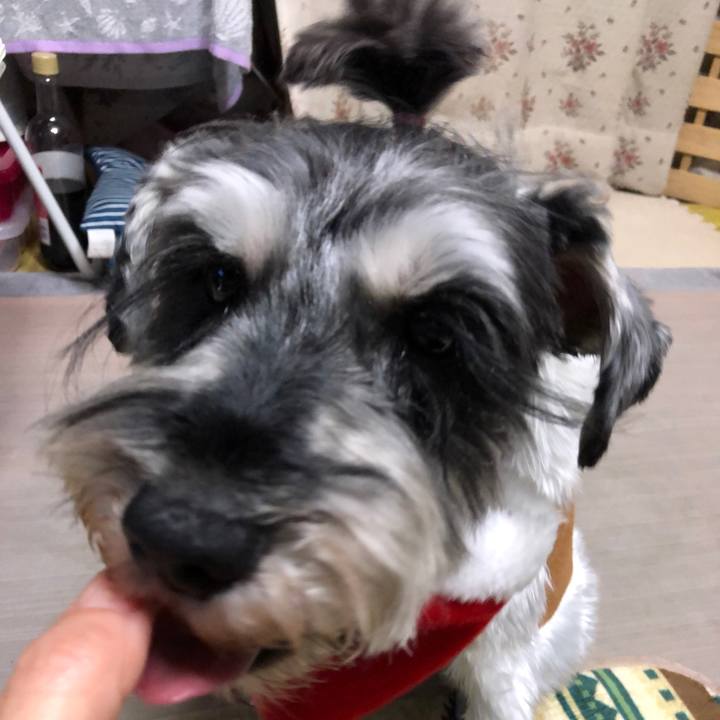 D71b1e8f fbb5 462f 9f6c 1f15f3d77419 1640347303847