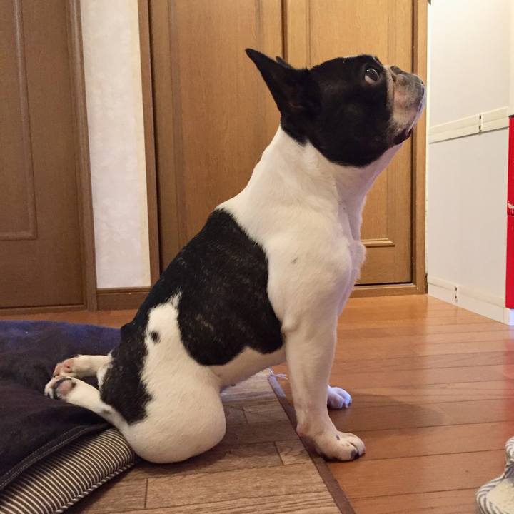 D71b289f 57b4 42b1 ba36 51d6b48eb212 1532853711291