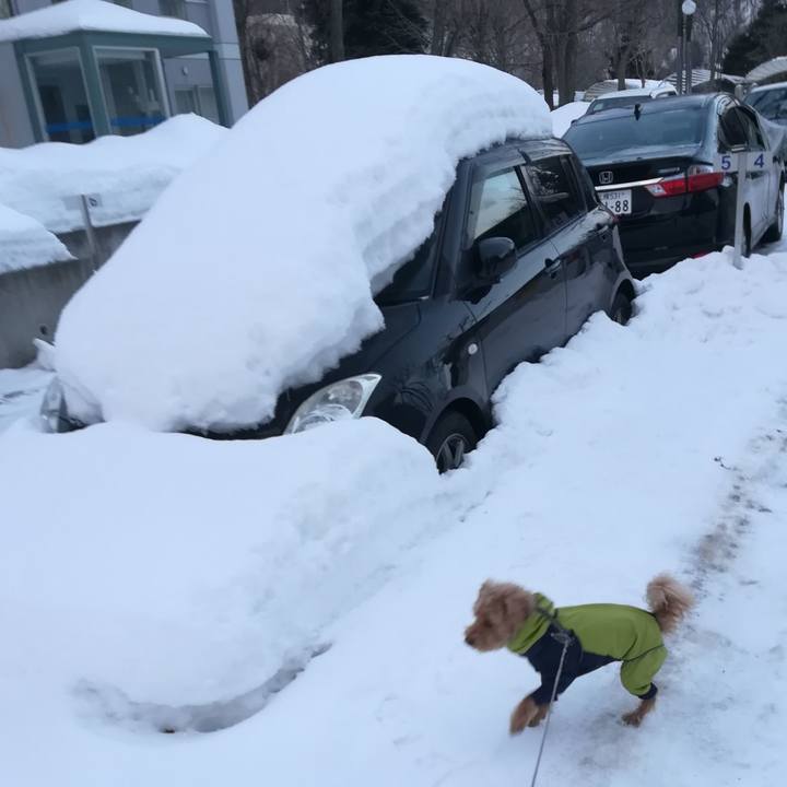 D71b4ef9 7474 4c17 8fef 5e14eab5a33a 1549319950845