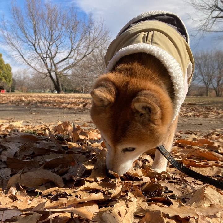 D71b6480 99cb 4159 83fe af1e6a2b4ba6 1767578901867