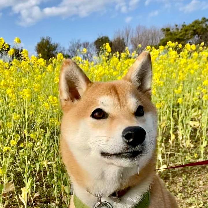 D71b801c b34a 4e7a 8534 c55e248d708d 1647829204767