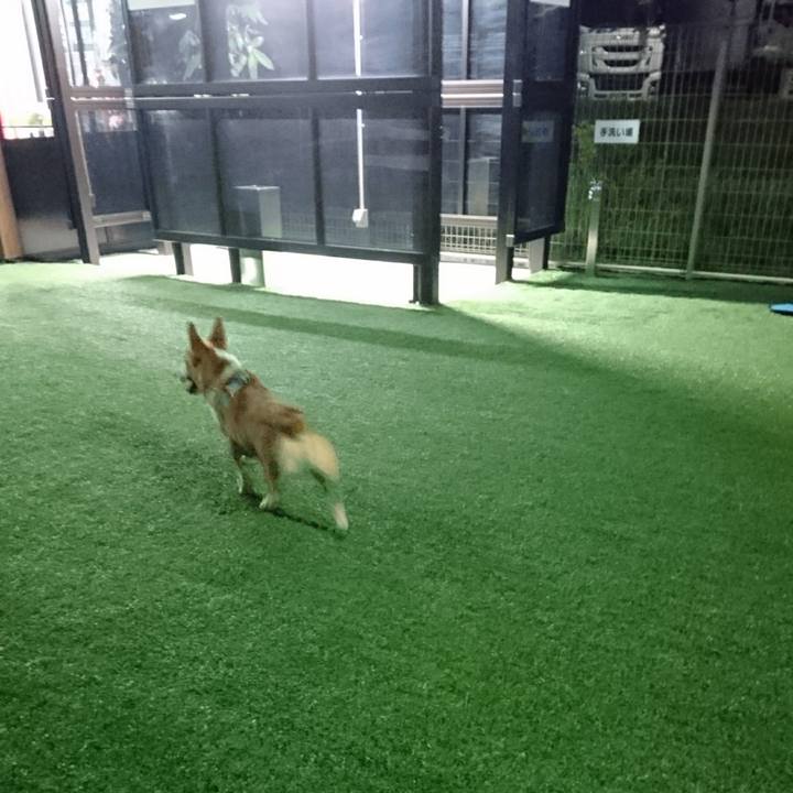 D71b82f3 a378 40ad 9238 2045ccbb9c7b 1568715743200