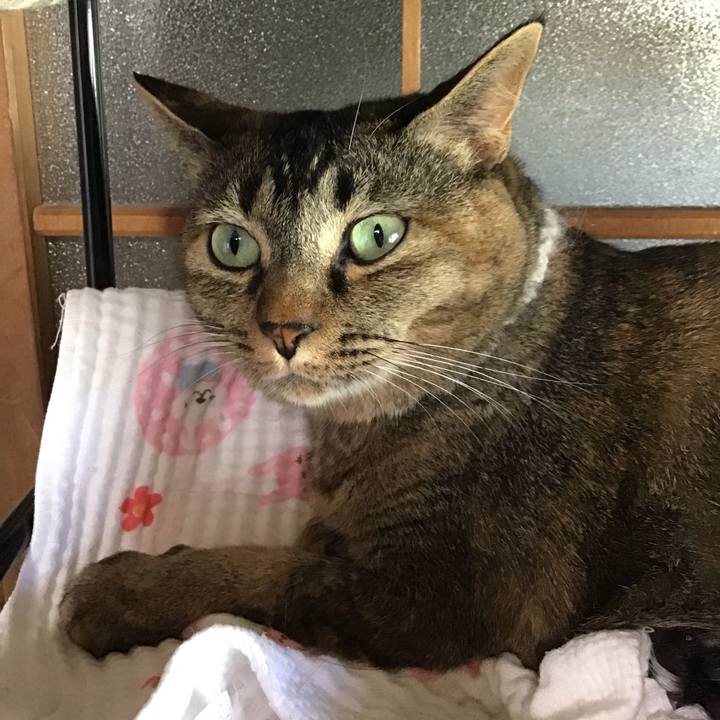 D71b88c6 5dde 4631 886f ccee4a38730c 1659438641678