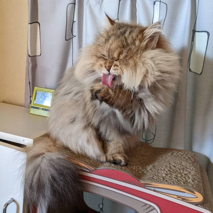 D71b8ec6 5976 43c3 a924 ba488971616c 1748355096684