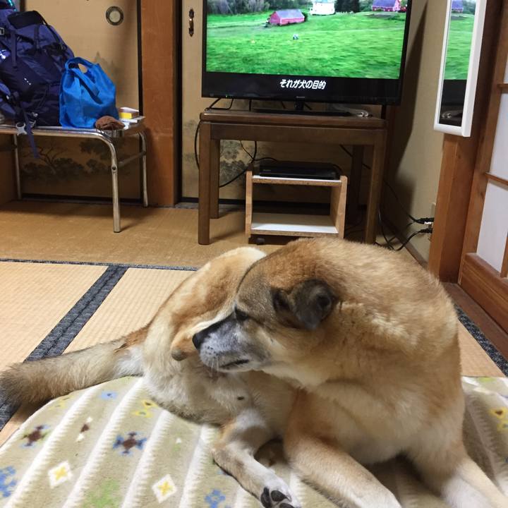 D71bcbdf ffdc 403c 852b c57c4e5f3d8a 1570108042207