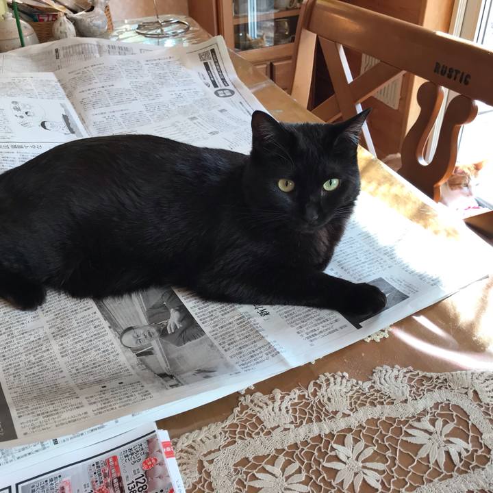 D71bd7e0 6d58 45ce ada4 80c5548ed1a5 1618439003742