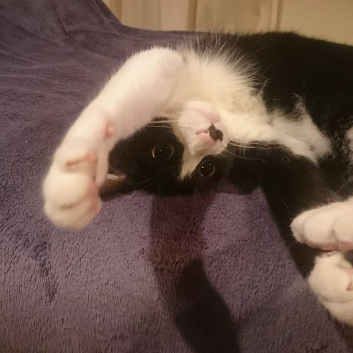 D71bdbe7 acc9 4b93 9e2e 4e69646dc5f6 1530110281948