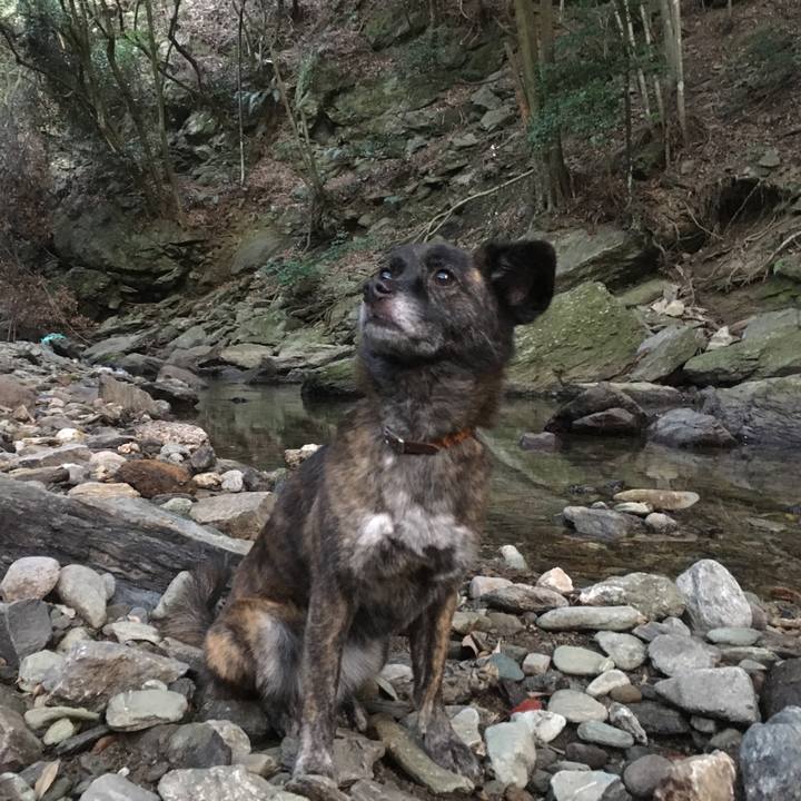 D71be430 8571 4160 a490 1ff405cfcca5 1533223676639