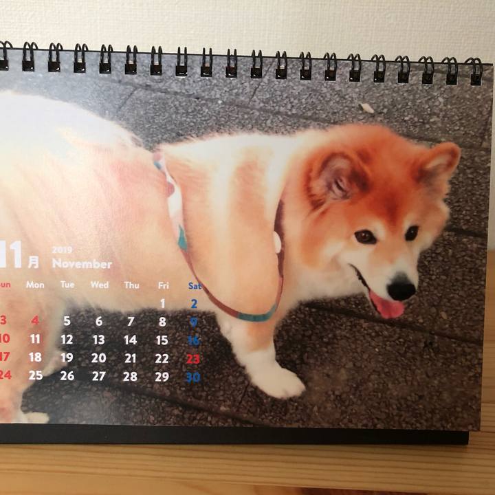 D71be8f0 860c 4052 ae46 7b9b6c64e7e9 1572689172402