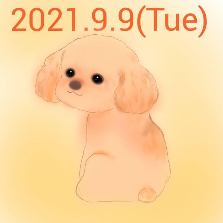 D71c0f0c 7237 445c 85e6 5a4657d1c340 1631190556668