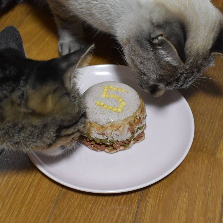 D71c2a39 8c84 40a6 bb3c c68e04167b91 1571568307910