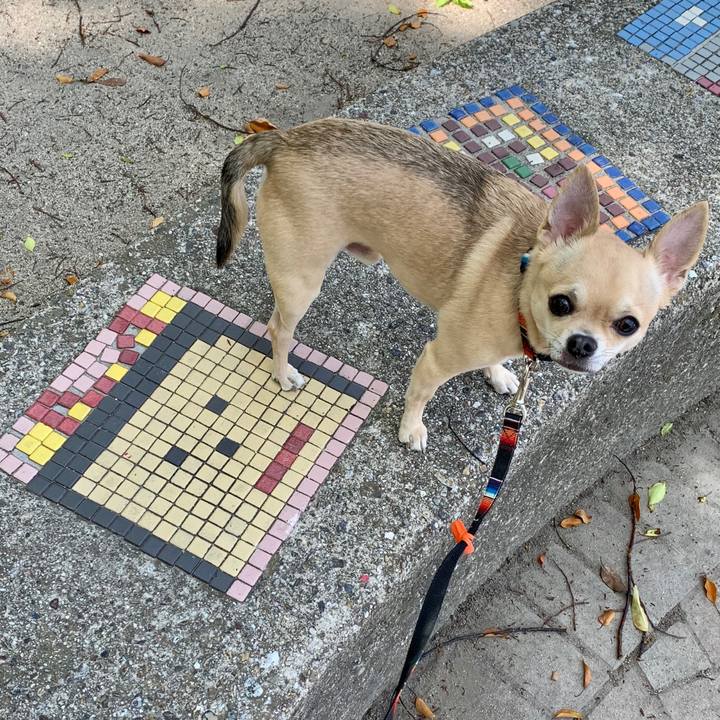 D71c617a d615 41df aca3 07f47fd75467 1588649614678