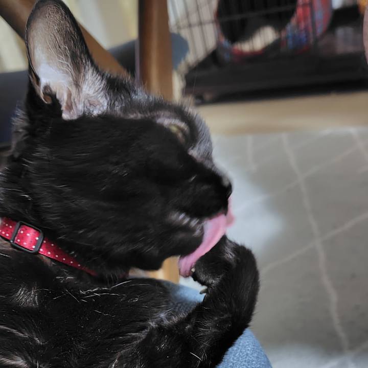 D71c6a5f 7b69 4ae9 8464 ab7d0e900c06 1753273282577