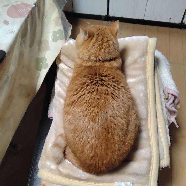 D71c8596 8fce 444a ada4 ce04cef5dae2 1710573198748