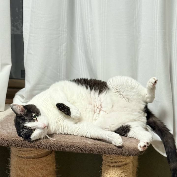 D71c9daf 6794 45e0 b7ce 9dd6efd6972b 1750904146028