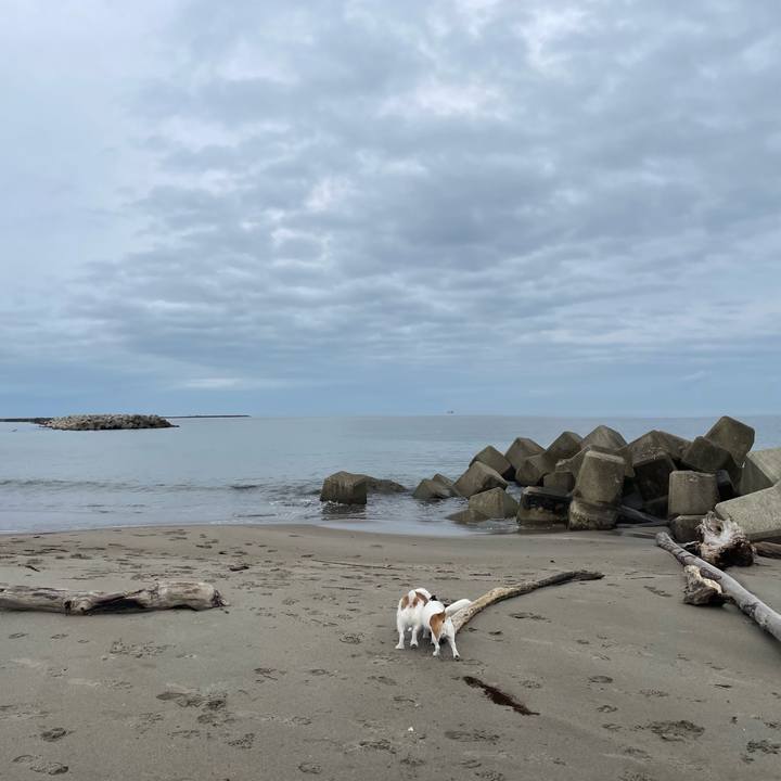 D71cb493 b1e8 412a 9c19 38e4522fea5a 1720743109471