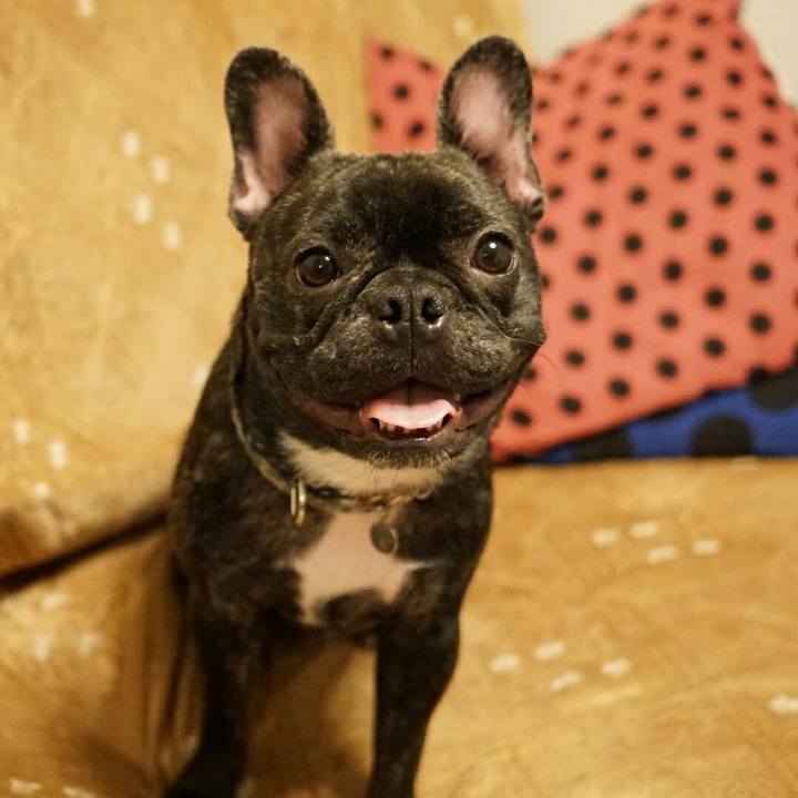 D71cc4c4 437c 4701 bc5f 030dabedcca5 1509977111613