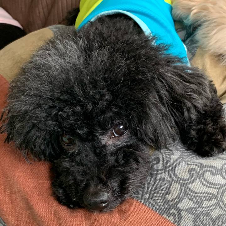 D71cd17c 4d20 480b b9c1 69c64297cb4d 1590814350478