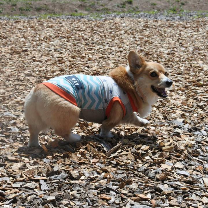 D71d1871 f24d 4be0 8f2d 7920b6a56074 1525163869193