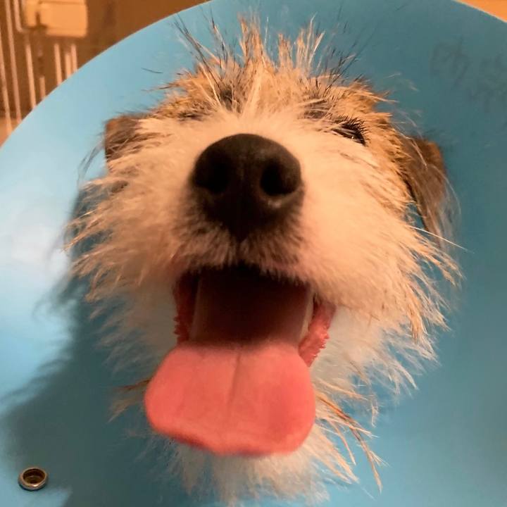 D71d1c6d 4137 430b bb84 caec83a96709 1569041784443