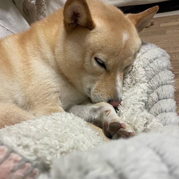 D71d2a79 7c79 4272 b691 9d540dc4916e 1666436860258