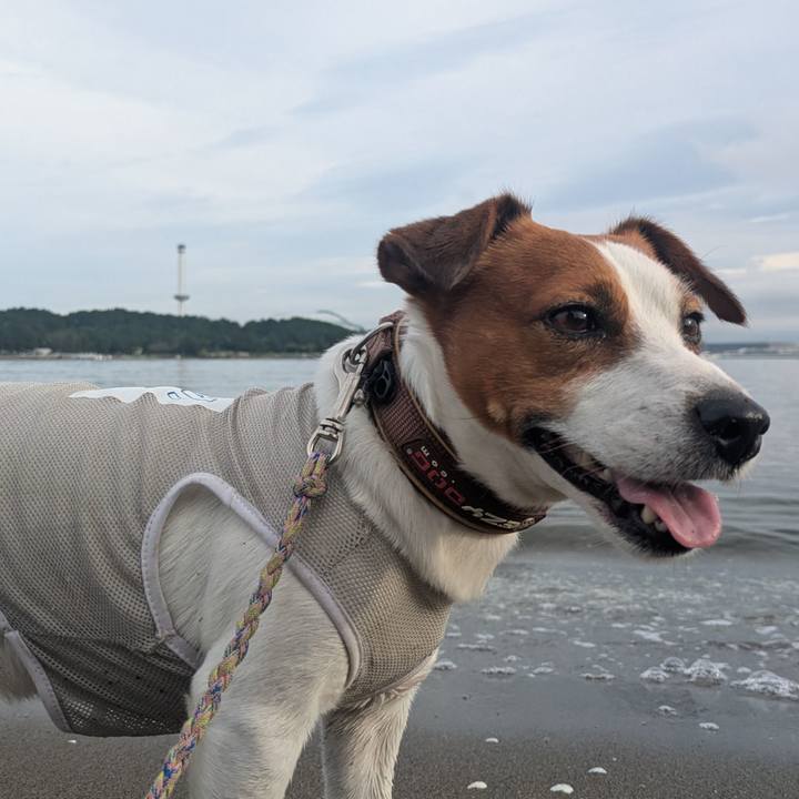 D71d352d b330 4931 b13d c80c66fce099 1760405571789