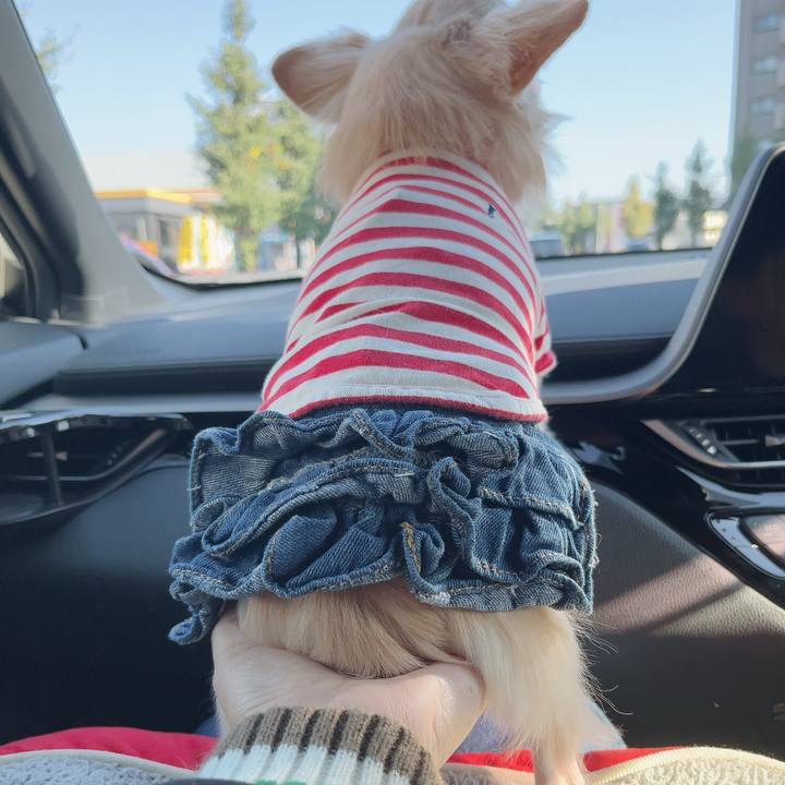 D71d4002 6c2f 4a7f 9c3e 53fc63f14831 1730605509275