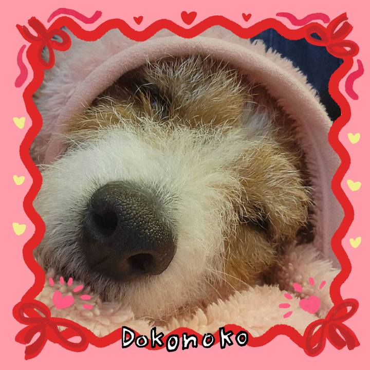 D71d4361 c210 4735 8b53 1efdacd0d174 1706890337146