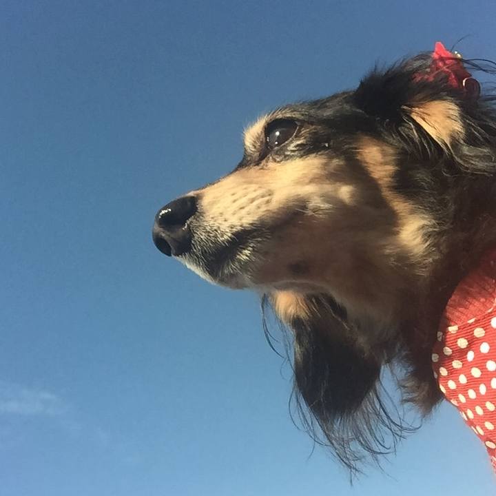 D71d7c9c 4ff5 4ea2 9dbe fc70abeb1eab 1545178454412