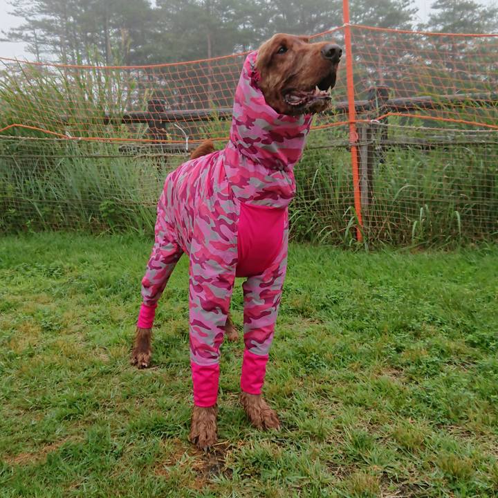 D71d9232 908d 40c2 aafc b3a9c37ea8fa 1566570158454