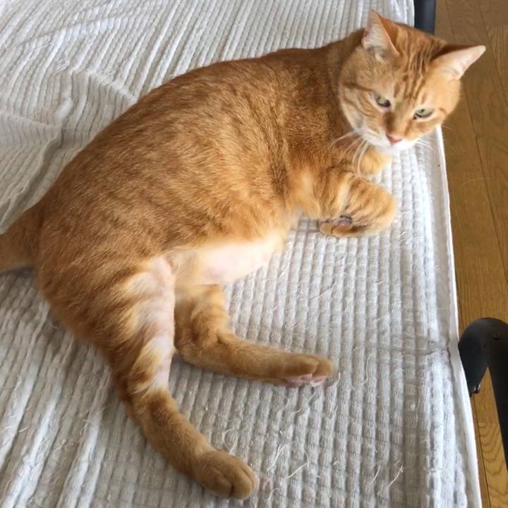 D71dbe38 4ead 4437 b6b1 ceccb0fa726b 1656364804455