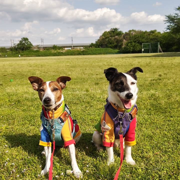 D71dc256 d17f 4d84 a563 4b4e3af50f7a 1746430115609